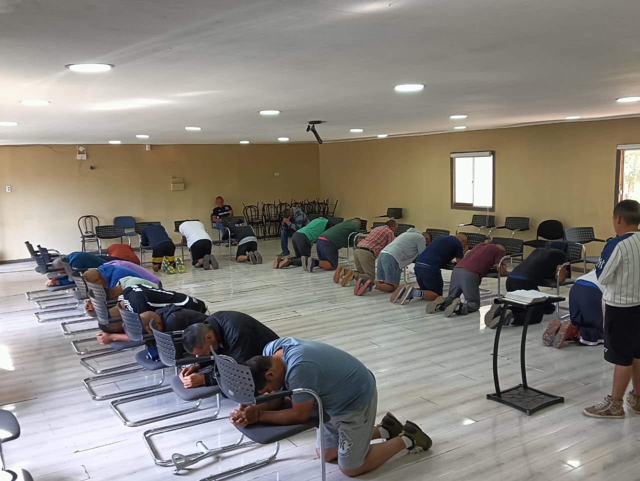 Proceso de rehabilitación